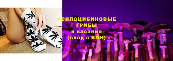 сатива Алексин