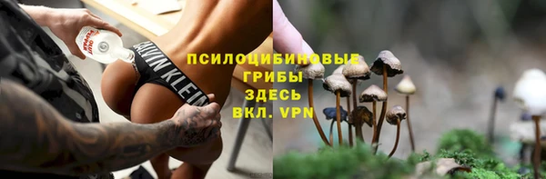 хмурый Алексеевка