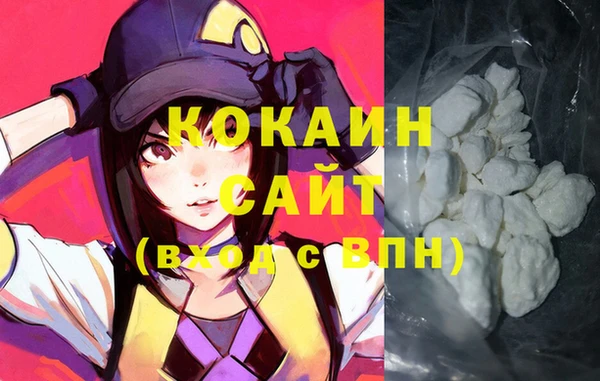 стафф Арсеньев