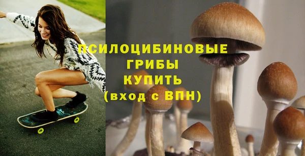 хмурый Алексеевка