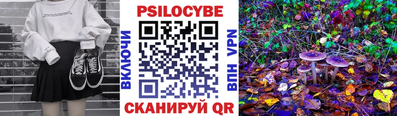Галлюциногенные грибы Cubensis  купить наркотик  Любань 